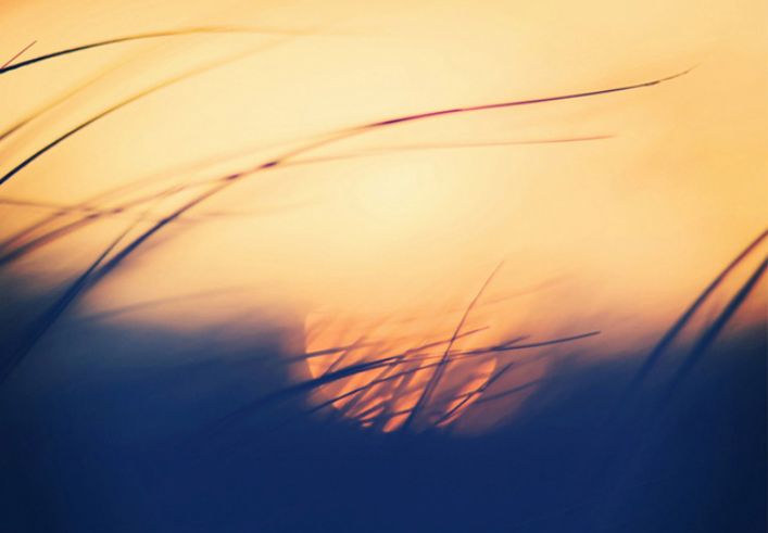 Lorem ipsum dolor sit amet, consectetuer adipiscing elit. Aenean commodo ligula eget dolor. Aenean massa. Cum sociis natoque penatibus et magnis dis parturient montes, nascetur ridiculus mus. Donec quam felis, ultricies nec, pellentesque eu, pretium quis,